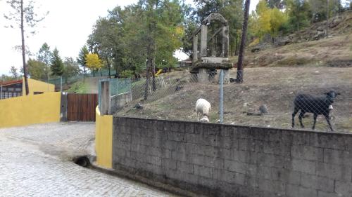 Casas de Canavezes