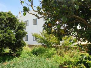 Casas do Pomar