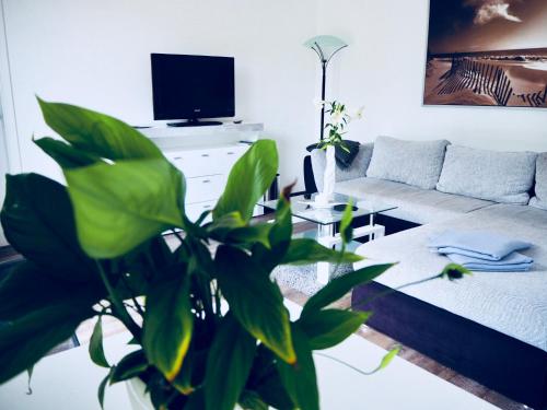 CasaSmart // Das Ferienhaus am Harz Nordhausen