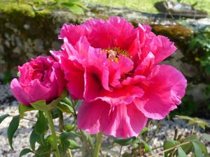 Castelvidouze Le Barreau St OST