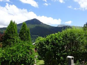 Chalet Belle Folie