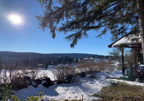 Chalet du Bois Joli