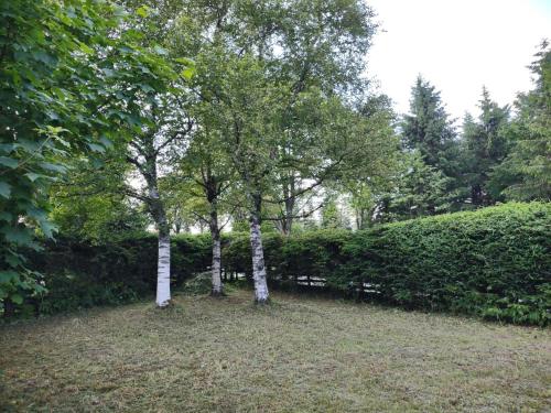 Chalet Gisela