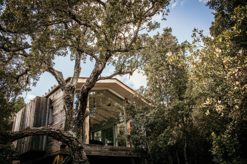 Chalet & SPA sur la Côte Fleurie