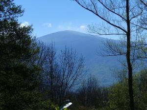 Maison de vacances Chalet with garden in the Pyrenees  11140 Roquefort-de-Sault Languedoc-Roussillon