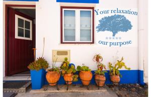 Chaparro Holidays - Big house with terrace - FREE coffee