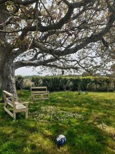 Charmant Gîte 6 à 10 personnes en bord de mer