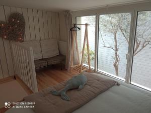 Charmant logement T2 à 2 pas de la mer