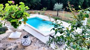 Charmant studio dans maison d'hôte dans un écrin de verdure