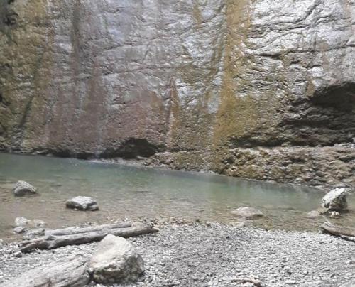 Charmante maison au cœur de la nature
