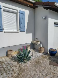 Charmante maison au cœur de la nature