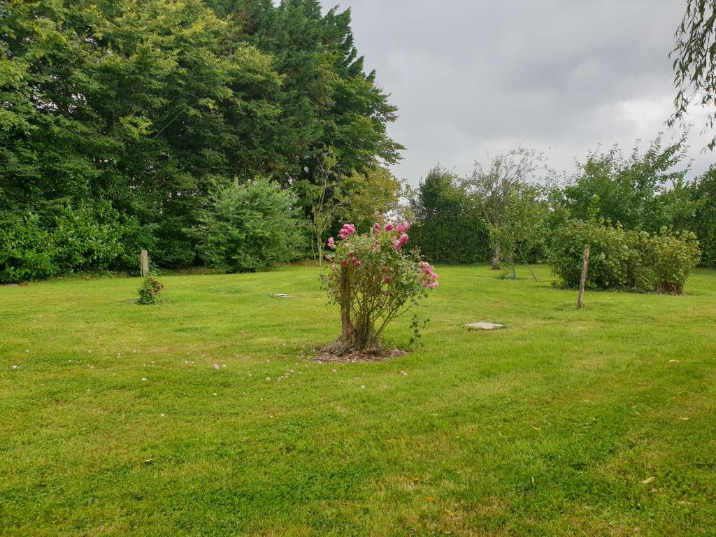 Maison de vacances Charmante maison dans un parc de près de 3ha 1487 Rte D’Ouilly Albatros-Moyaux 14590 Moyaux