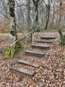 Charmante maison en forêt de Troncais