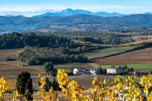 Charme au cœur des vignes