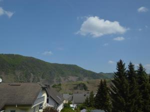 Charming Holiday Home in Bremm Eifel with Garden