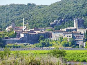 Maison de vacances Charming Holiday Home In Montclus with Terrace  30630 Montclus Languedoc-Roussillon