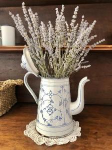 Charming Holiday House in the golden triangle near Sarlat
