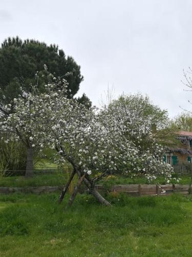Charming home in the bocage 30 min from Puy du Fou