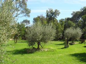 Charming Villa in Poggio Mezzana Near Beach