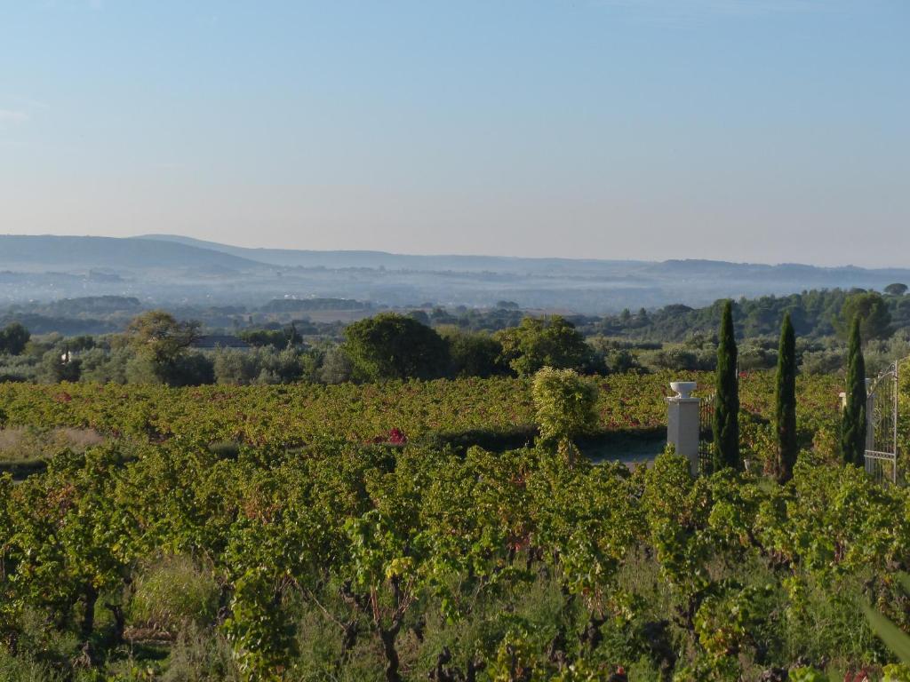 Château de valloubière-Gite 400 chemin de valloubiere, 34150 Saint-Jean-de-Fos