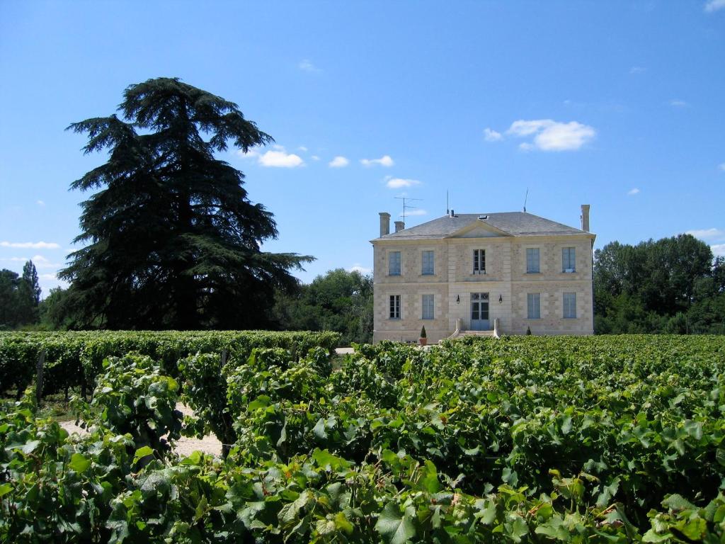 Château Mauras D116, 33210 Bommes