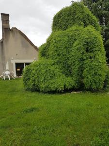 Maison de vacances Chaumière avec sa toiture recouverte de chaume !!! Dheury 28200 Donnemain-Saint-Mamès Région Centre