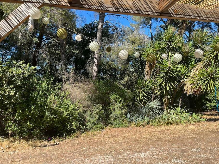 Maison de vacances Chez Christa Maison G 1173 Chemin de Pibarnon À Fontanieu 83740 La Cadière-dʼAzur