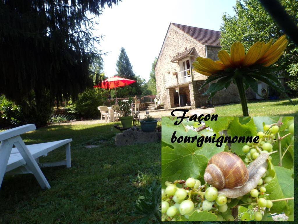 Chez Marielle 84800 LʼIsle-sur-la-Sorgue