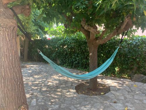 Chez soi