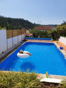 Maison de vacances Citrus Tree House, private pool and garden. 22 Rua Doutor Augusto de Castro 3850-483 Angeja Région Centre