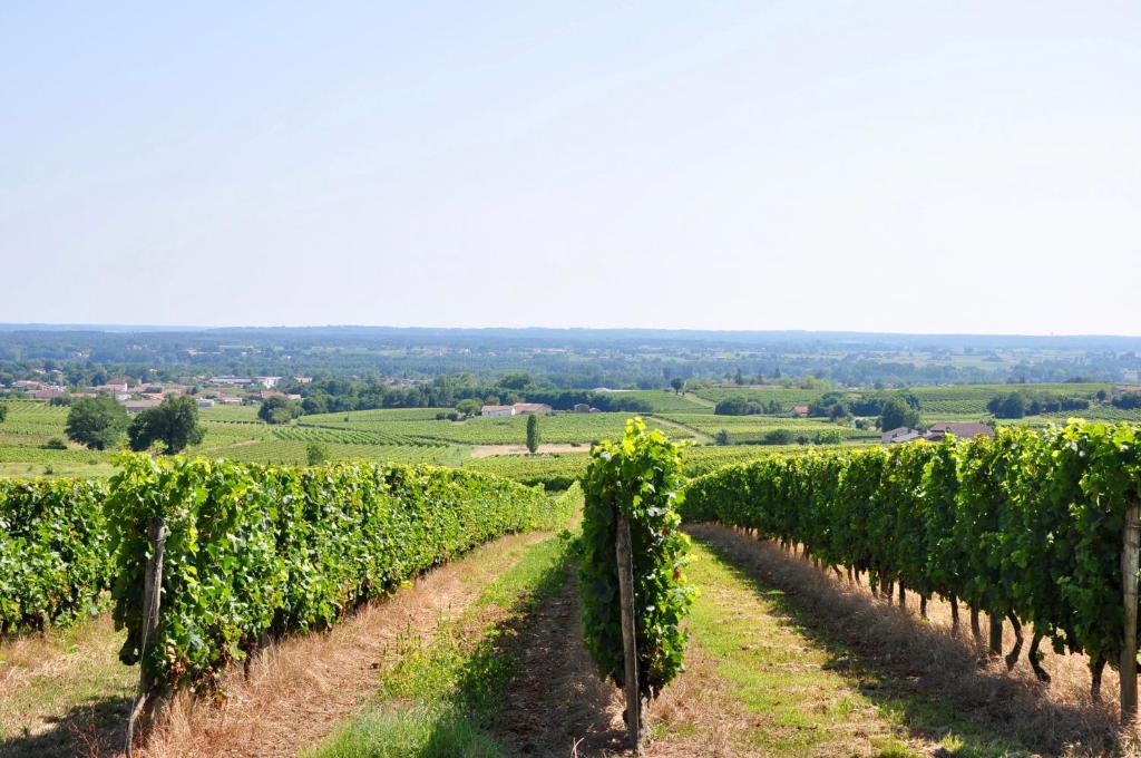 Maison de vacances CLOS SAINT SAUVEUR - guesthouse au coeur des vignes sur le coteau 8 RTE DE LA MAGDELAINE 33490 Saint-Pierre-dʼAurillac