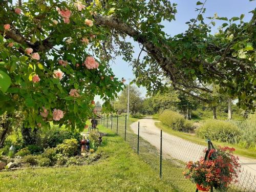 Coin de nature en Puisaye