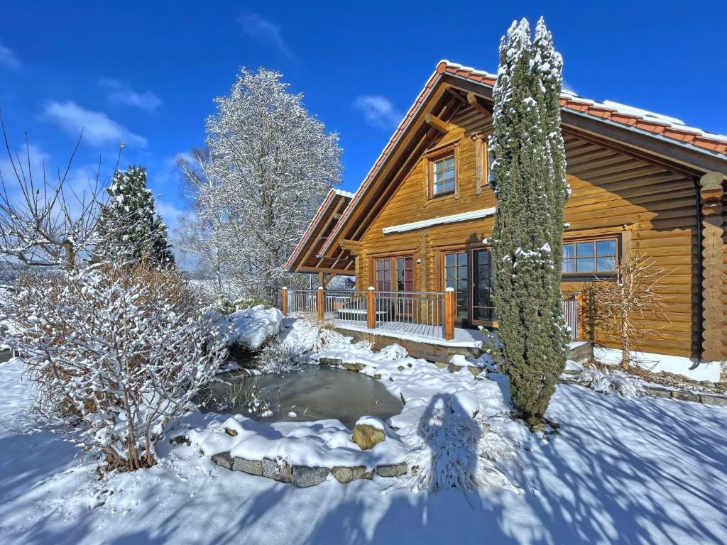 Comfortable and cosy holiday home with hot tub sauna terrace and garden , 92552 Teunz