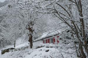 Comfortable farm house Petit Barzun, in the Parc National Pyrenees