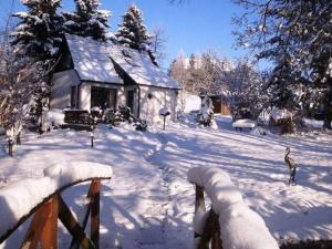 Comfortable Holiday Home in Schlettau near Horse Riding