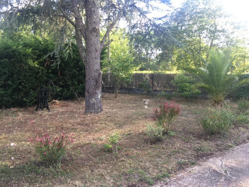 Cool Landes