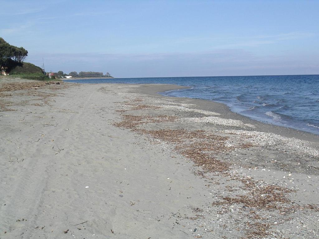 corse pied dans l eau alba serena Résidence Alba Serena, 20230 Poggio-Mezzana