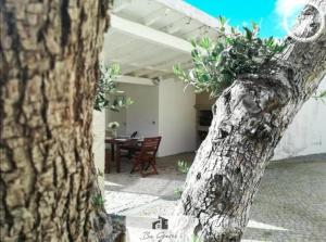 Cortegaça House