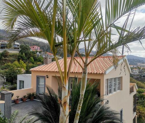 Costa Residence Funchal View