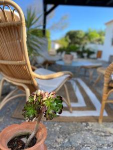 Cosy Farmhouse Quinta da Eira 140 years old