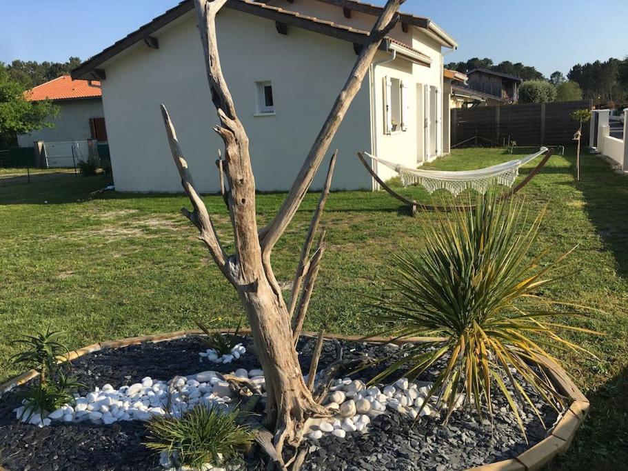 « côté lac » , maison cosy, climatisée au calme 21 Chemin des Lezes, 40160 Parentis-en-Born