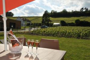 Côté Vignes