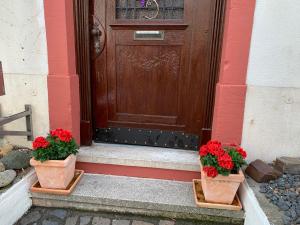 Count von Hatzfeld mit Moselblick