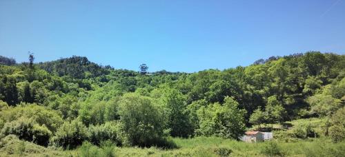 COUNTRY HOUSE by the RIVER - NATIONAL PARK