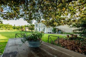 Countryhome at winery Chateau Camponac