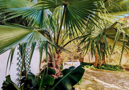 Cozy 3 BR Home - Close to Beach