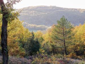 Maison de vacances Cozy Holiday Home in Bouzic South of France near Meadows  24250 Bouzic Aquitaine