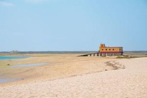 Cozy typical restored 2bedroom house single storey 5 min from the Fuseta Beach