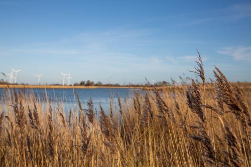 Dänisches Blockhaus direkt am Wangermeer