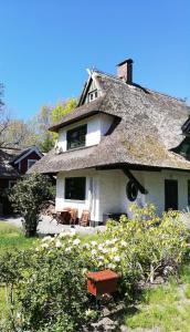 Maison de vacances Darßer Strandgut - Haus Butzek 54 Dorfstraße 18347 Ahrenshoop Mecklembourg-Poméranie